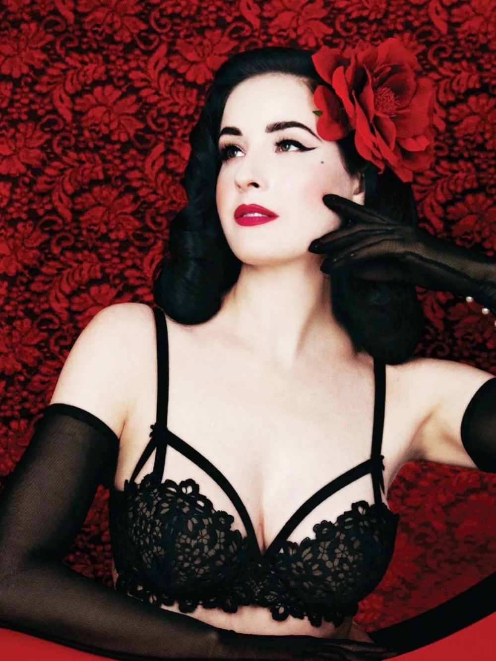 Dita Von Teese Dahlia Wireless Bra Black Lace Vintage Glam